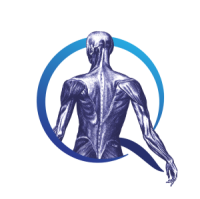 Muscle body inside Q